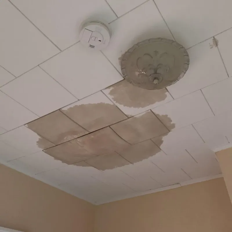Ceiling Water Damage Repair in Homewood, AL