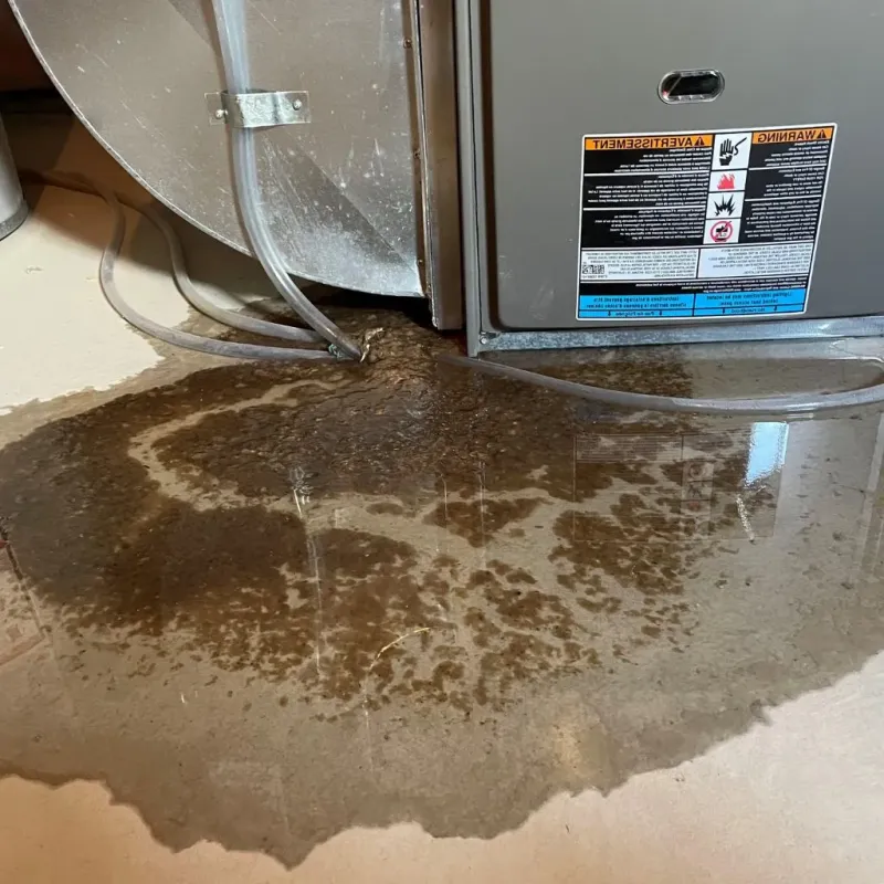 Pipe Burst and Leak Restoration in Homewood, AL