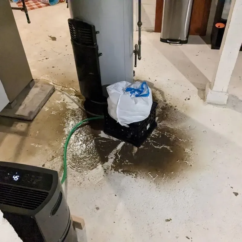 Sewage Backup Cleanup Service in Homewood, AL